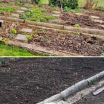 Bild oben ungepflegtes Beet, Bild unten glatter, unkrautfreier Gartenboden nach der Bodenbearbeitung mit der Elektro Bodenhacke