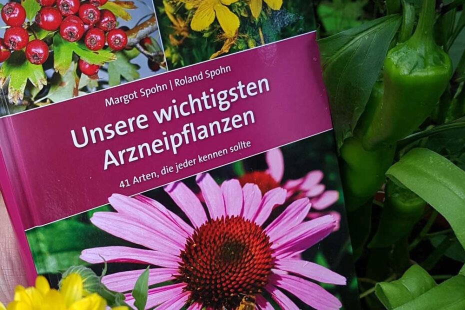 Eine Hand hält das Heilpflanzen-Buch zwischen Ringelblume und Paprika