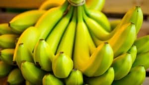 Sind grüne Bananen ungesund?