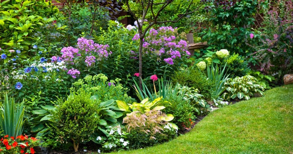gemuesegarten-blog.de Pflanzen